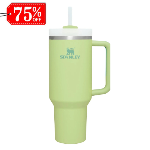 Stanley Quencher H2.0 FlowState Tumbler.