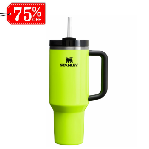 Stanley Quencher H2.0 FlowState Tumbler.