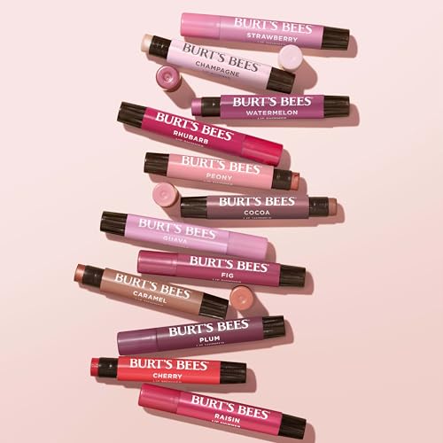 Burt's Bees Shimmer Lip Tint Set, Tinted Lip Balm Stick, Moisturizing for All Day Hydration with Natural Origin Glowy Pigmented Finish & Buildable Color, Raisin (1-Pack)