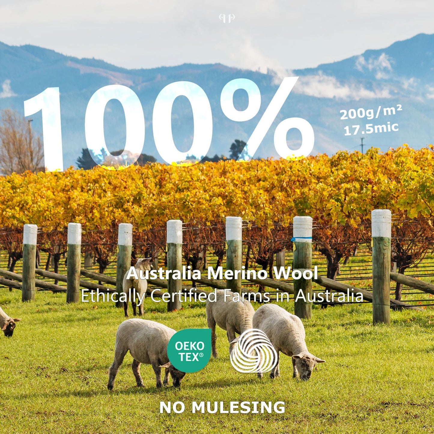 Merino Protect 100% Merino Wool T Shirts for Men Odor Resistance Base Layer Lightweight Hiking T-Shirt