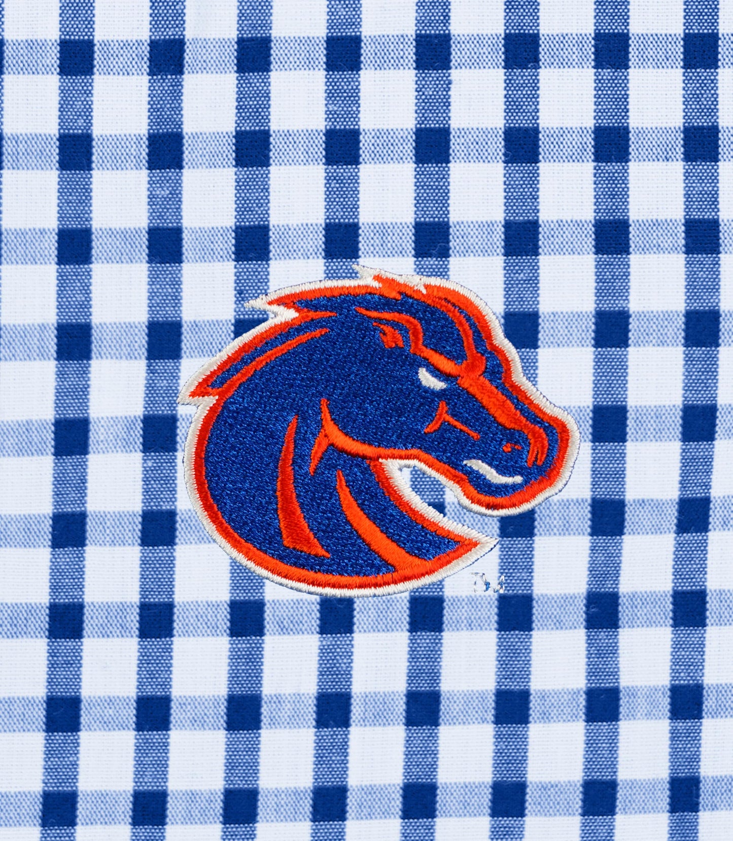 Vantage Apparel Men's Collegiate Easy-Care Long Sleeve Gingham Check Button Down Shirt, Boise State Broncos, Royal, XX-Large
