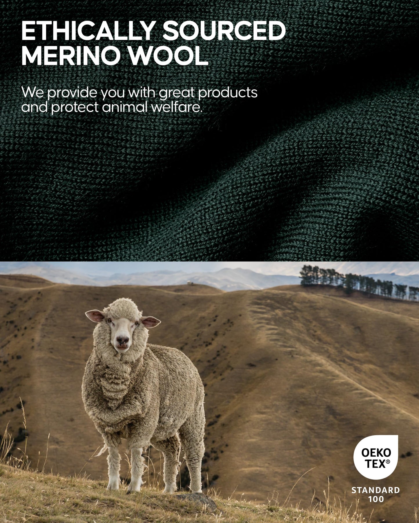 DANISH ENDURANCE Merino Wool Baselayer T-Shirt, Short Sleeve, Premium Undershirt for Men, Breathable and Moisture Wicking, Dark Green, L