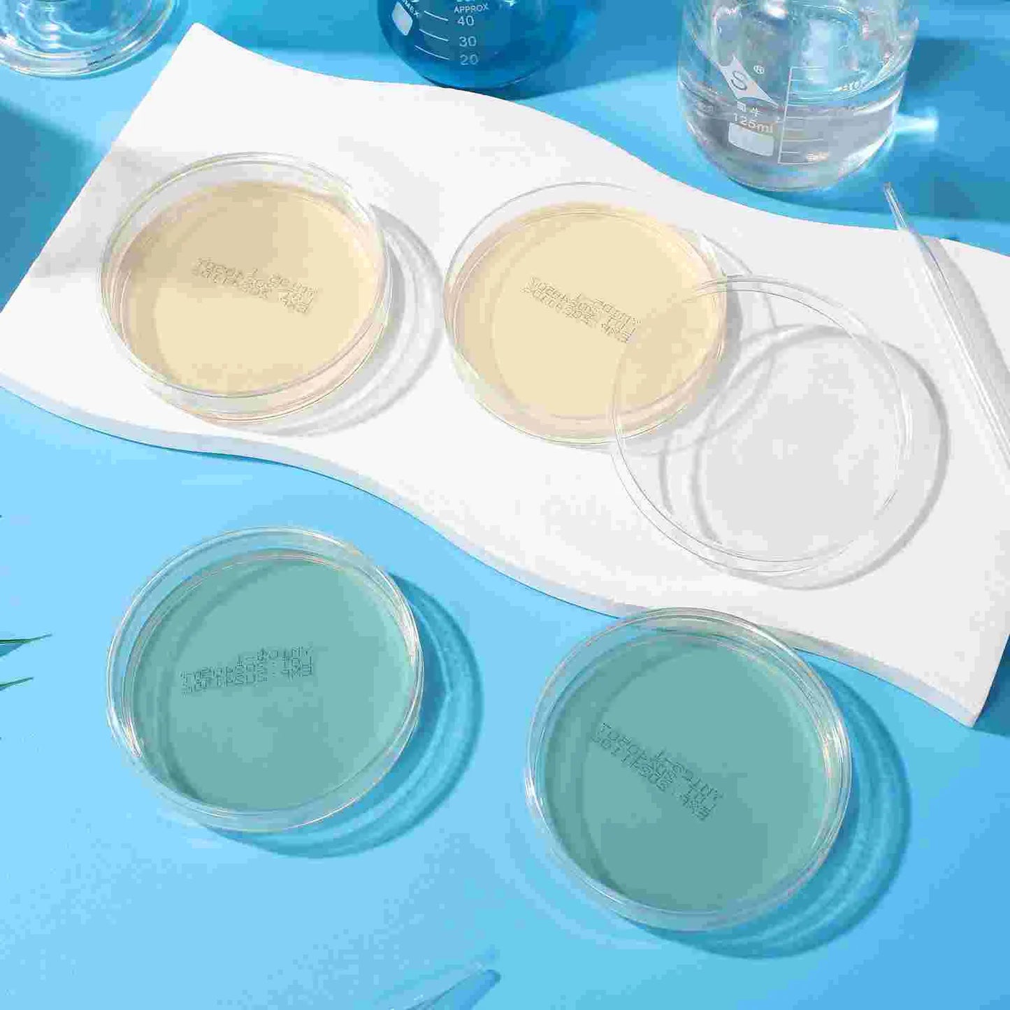 10 Pcs Nutrient Agar Plate Laboratory Experiment Supplies Sea Moss Gel Science Petri Plates Dishes with Mushroom Accessory for