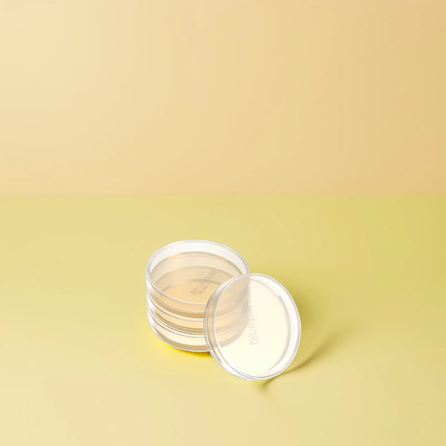 10 Pcs Nutrient Agar Plate Laboratory Experiment Supplies Sea Moss Gel Science Petri Plates Dishes with Mushroom Accessory for