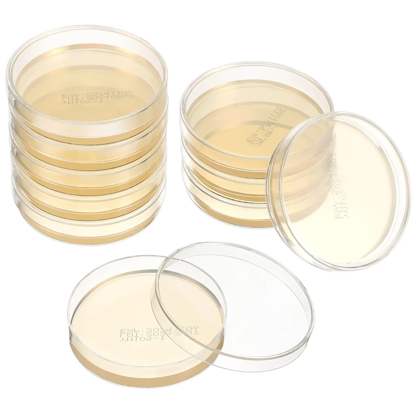 10 Pcs Nutrient Agar Plate Laboratory Experiment Supplies Sea Moss Gel Science Petri Plates Dishes with Mushroom Accessory for