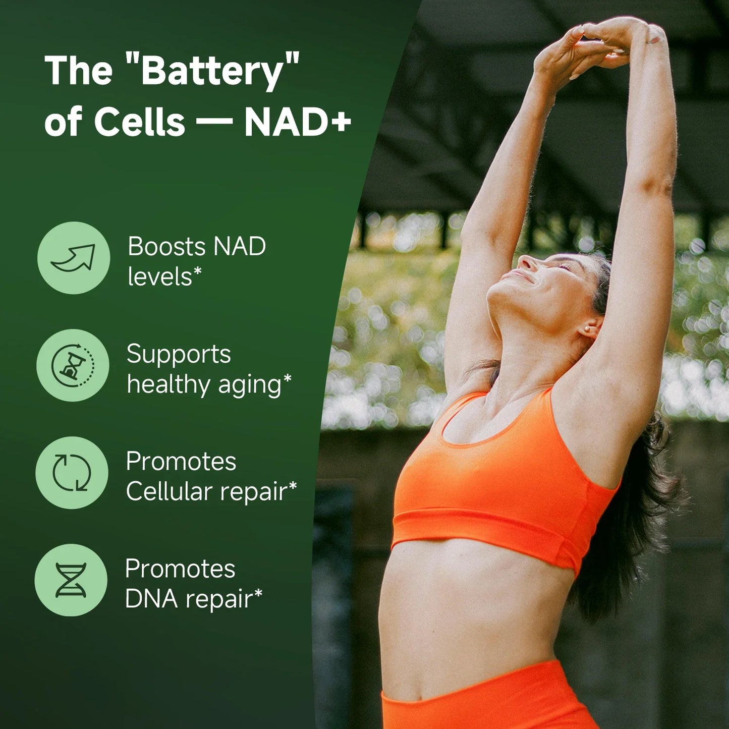 NR900 Supplement - Liposomal Nicotinamide Riboside, Resveratrol, Quercetin by Quitmood- High Purity NAD Supplement for Ski